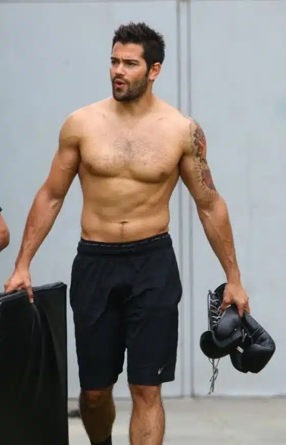 Jesse Metcalfe Net Worth 2026 Wife, Wedding, Children, Career, Income & Luxurious Lifestyle