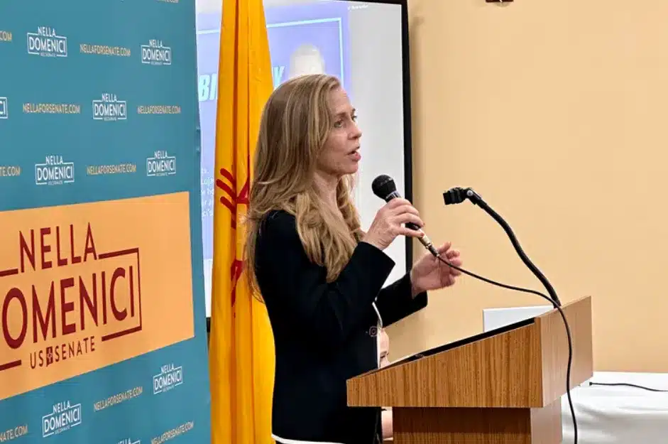 Nella Domenici Net Worth 2026 Super PAC Role, Q3 2024 Fundraising & Political Career Explained